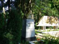 Кам'янече з panoramio.com