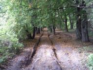 Гуща з panoramio.com