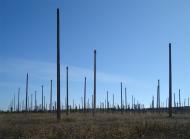 Пролетарське з panoramio.com