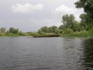 Тарасівка з panoramio.com