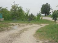 Паївка з panoramio.com