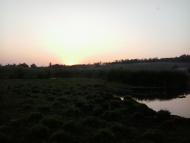 Khrystoforivka - Latest photos