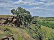 Шахтне з panoramio.com