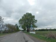 Росоша з panoramio.com