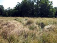 Вучкове з panoramio.com