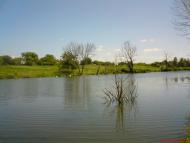 Вишняківка з panoramio.com