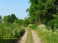 Шпиківка з panoramio.com