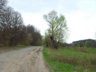 Крені з panoramio.com