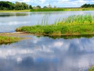 Степань з panoramio.com