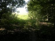 Ковиничі з panoramio.com