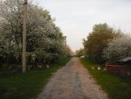 Чмикос з panoramio.com