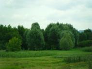 Березівка з panoramio.com