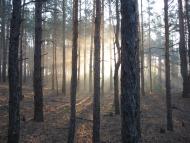 Ковалин з panoramio.com