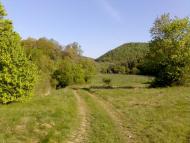 Суржинці з panoramio.com