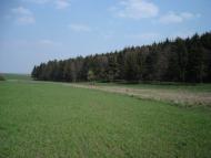 Безіменне з panoramio.com