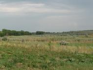 Шевченкове з panoramio.com