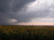 Гусина Поляна з panoramio.com