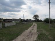 Грушівка з panoramio.com