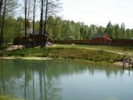 Тростяниця з panoramio.com