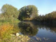 Денежникове з panoramio.com