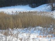 Слобідка з panoramio.com