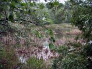 Біла - Останні фото