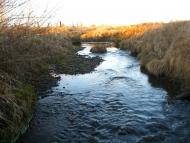 І СВІТАЄ, І СМЕРКАЄ