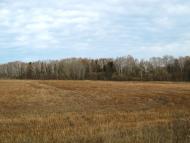 Михайло-Коцюбинське з panoramio.com