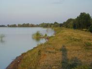 Кинашів з panoramio.com