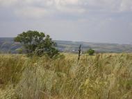 Новопетрівське з panoramio.com
