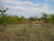 Чистопілля з panoramio.com