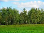 Ромейки з panoramio.com