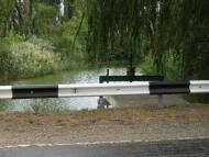 Комишне з panoramio.com