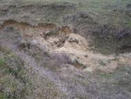 Вербка з panoramio.com