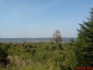 Вістова з panoramio.com