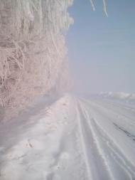 Камінь з panoramio.com