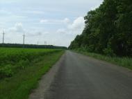 Данильчин Кут - Останні фото