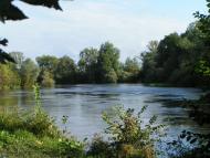 Гуща з panoramio.com