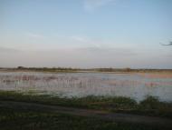 Кузьки з panoramio.com