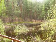 Гамарня з panoramio.com