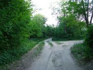 Бронниця з panoramio.com