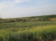 Єлизаветівка з panoramio.com