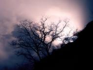 Саханка з panoramio.com