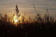 Бальківці з panoramio.com