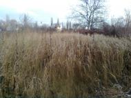 Біляївка з panoramio.com - Беляевка