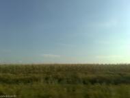 Зелений Гай - Останні фото