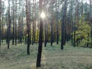 Прелесне з panoramio.com