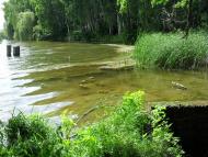 Печини з panoramio.com