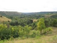 Кружківці з panoramio.com