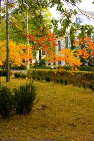 Гамарня з panoramio.com